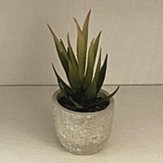 飛飛家居 台灣現貨 仿真多肉植物盆栽 辦公室桌面裝飾 迷你假盆栽, 1個, 鷹爪蘆薈多肉