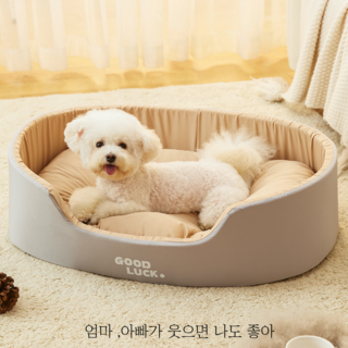 다있어유 사계절 미끄럼방지 메모리폼 침대형 강아지 고양이 방석 강아지집, 1개, 1.애쉬 브라운