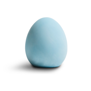 라이프스탠다드 냄새먹는 달걀, 100g, 1개