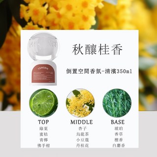 蒂普提克 24H 倒置香薰 350ml 倒立香氛 擴香瓶 車載香薰 室內芳香劑, 1個, 秋釀桂香350ml（清新花香調）, 秋釀桂香350ml（清新花香調）