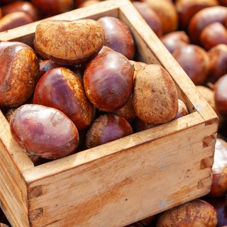 산지 직송 신선한 맛 그대로! 청정 백운산에서 자란 프리미엄 알밤 소율, 1개, 10kg