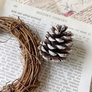 聖誕節裝飾松果材料包：天然松果、落葉松毬果，DIY聖誕花圈擺拍裝飾果實, 3-4公分-松果4入-刷白, 1個