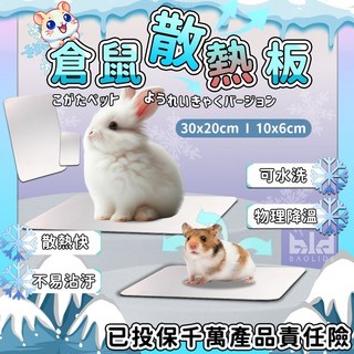 倉鼠降溫必備：水晶冰墊散熱板 適用於倉鼠、兔子、龍貓等小寵物 有效消暑降溫, 1個, 1小片(10 x 6 cm)