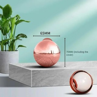 린트 롤러 헤어 리무버 볼 애완 동물 빨 끈적, [07] B-Rose gold, 5. B-Rose gold