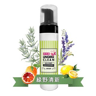 全新高效升級配方 舒亦淨貼身衣物洗衣精 頂級精油抗菌潔淨慕斯 私密衣物胺基酸酵素手洗精 塑身衣/內褲/內衣 除血漬異味, 1個, 綠野清新(清新花果)