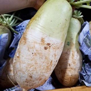 빠리농산 국내산 햇무 1개