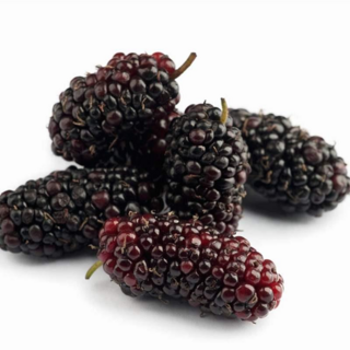 [2주만초특가!] 초고당도 국내산 급냉 토종 오디, 1박스, 2kg (특품)