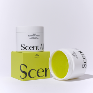 센트올 실내탈취제 블루밍프레쉬향 화장실 담배 새집증후군 실내 집안 홀애비 옷장 냄새 제거, 300g, 1개