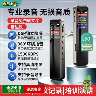 AMOI 專業智能錄音筆 DSP降噪 雙硅麥克風 聲控錄音 錄音轉文字 MP3播放 密碼保護 便攜式256G, ⚡旗艦款⚡【十級降噪+AI語音】加大電池,256G【100%真容量】送掛繩