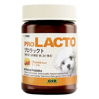 백년애 프로락토 강아지 고양이 유산균 치즈, 간+장건강, 1개