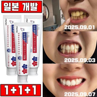 일본 누렁니 미백 치약 1위 재생치약 화이트닝 구취제거 염증 예방 대용량, 3개, 120ml