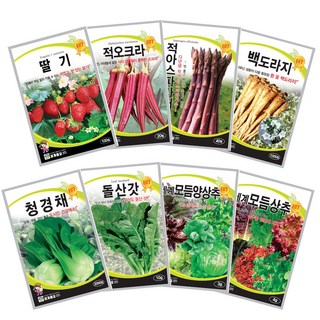 상추 씨앗 채소 씨앗 쌈채소 모듬상추 베란다 텃밭 열매 채소 약초 씨앗 희귀 씨앗 모음, 01_상추/양상추/쑥갓씨앗, 06_세계웰빙청치마(3000립), 1개