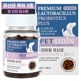 펫시딘 강아지 프리미엄 영양제, 60g, 장건강/유산균, 1개