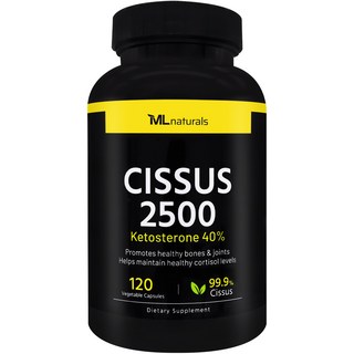 마이라이프 시서스 2500 120캡슐, 1개, 120정