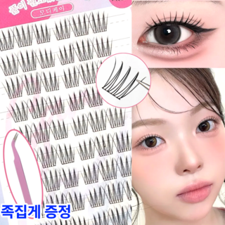 모디케이 노글루 속눈썹, 1개, 블랙