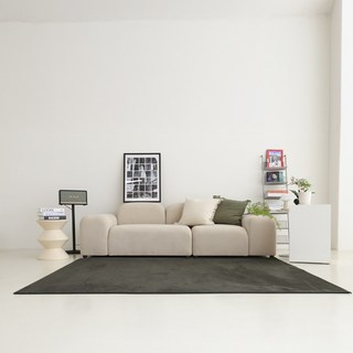 헤일럽 데이럽 먼지없는 사계절 단모 사각 러그 거실용 카페트