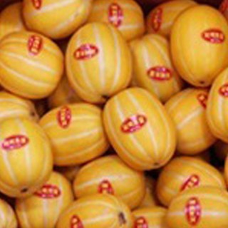 달달한성주칠곡꿀참외10kg로얄과발송(30-50과)램덤, 1박스, 10kg