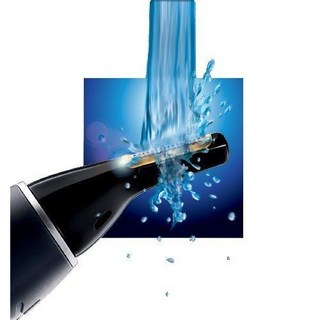 PHILIPS飛利浦 NT9110多功能鼻毛刀 耳鼻眉修剪器 簡易包裝, 1個