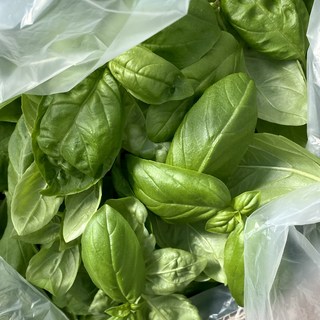 퍼핑빌리지 바질 500g 생잎 식용 허브 대용량, 1개