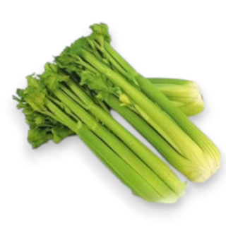 【醬米資材】DIY種子栽種西洋芹 - 家庭園藝盆栽組 輕鬆體驗種植樂趣, 1個