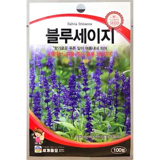 블루세이지 100립 세계 25년 블루세이지씨앗, 29. 블루세이지 100립, 1개