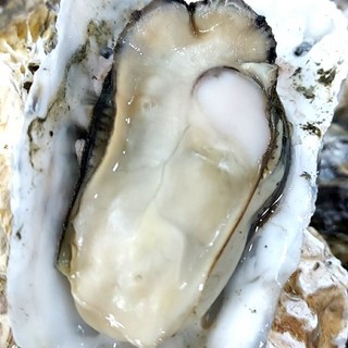 [프리미엄 실패없는 특대석화] 국내산 고흥 완도 여수 실패없는 왕특대 석화 프리미엄 수확 배송 생물 캠핑 조개구이, 1개, 프리미엄 특대입망석화 5kg