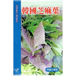 興農種苗 韓國芝麻葉種子 大葉品種 新鮮蔬菜種子 家庭園藝, 1個
