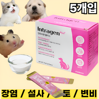 [인트라젠] 장염 설사 구토 변비 면역력강화 유산균 영양제 강아지 고양이 햄스터, 5포, 1세트