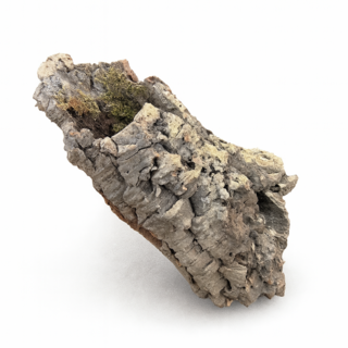 뉴런 코르크튜브 소사이즈 파충류유목, 60cm