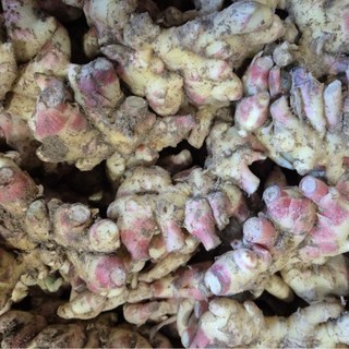 2024년 갓 수확 국내산 흙 햇생강 [원산지:국산(경상북도 봉화군) 등], 1개, 10kg