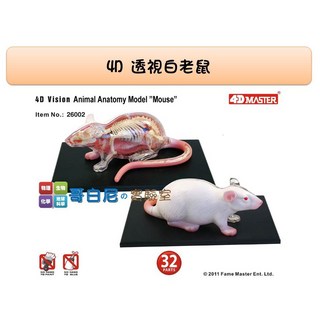哥白尼的實驗室 生物 4D透視白老鼠模型 正版Fame Master 動物系列, 1個