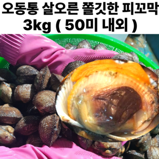 남해안 통통한 새꼬막 피꼬막 특대 피조개 산지직송 1차세척, 1박스, 피꼬막 3kg (50미 내외)
