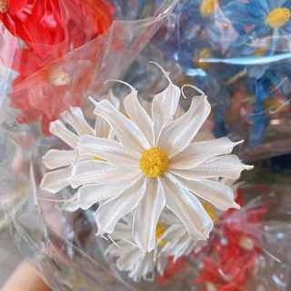 乾燥花束 (星辰/滿天星/情人草/卡斯比亞) 乾燥花 永生花 情人節禮物 生日禮物 拍照道具背景 餐廳佈置, 白/小雛菊/10支