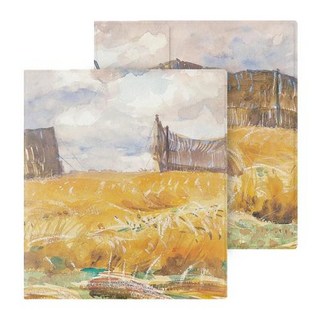 ONYX BOOX 페이지 및 Go Color 7 북 케이스 자동 깨우기 기능 초박형 스마트 기능 리프 3c 및 리프 3 용 마그네틱 커버, 1개, A132