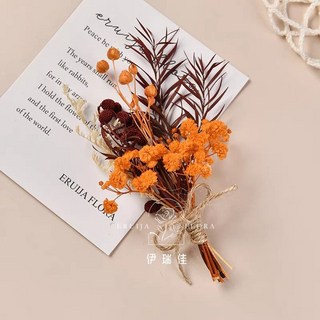 幹花墻麵裝飾墻上掛件背景墻墻飾貼墻高級感真花鬆果樹枝植物標本, F-05