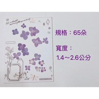 繡球花乾燥花押花材料 天然植物標本 手作DIY, C11-2