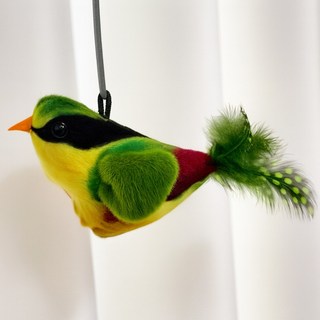 MAAH 고양이 터치하면 소리나는 새 장난감, 1개, 02.팔색조