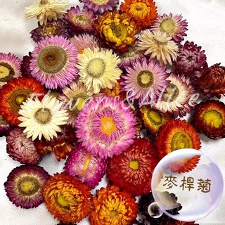 【信心花舍】麥桿菊 台灣麥桿菊 本地精選 乾燥花 七彩菊 DIY花材 拍攝道具 花環 居家裝飾 手作素材, 4CM-2顆