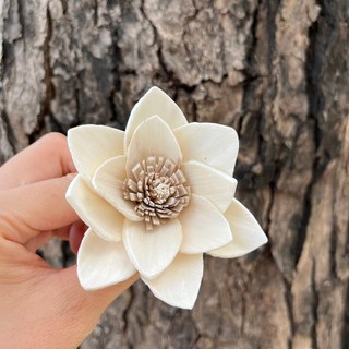 S-P索拉花 8CM 通草花 擴香花 白睡蓮 蓮花, 00原色, 1個