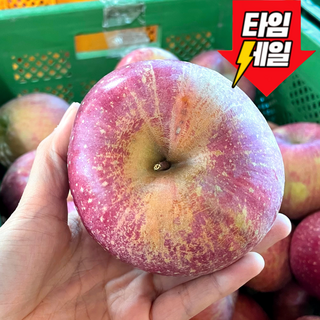 [초고당도brix]재구매폭주 청송 부사사과, 1박스, 10kg (로얄과)