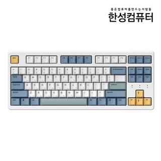 한성컴퓨터 염료승화 유무선 키보드 35g, SURFYY, TFG Cloud Max CL, 크림치즈축