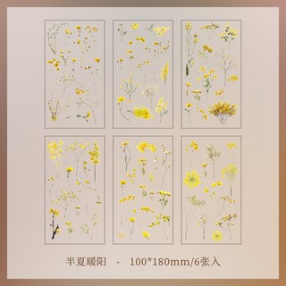 小薰選品 悅真 自然叢書系列 植物標本 材料包 裝飾貼紙 手帳貼紙 植物貼紙 花卉貼紙, 1個, 半夏暖陽