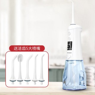 구강세정기 치아 치간 세정기 DP-1900K 덴탈리티 컴팩트 픽5단계 AWF1C, 화이트 스탠다드