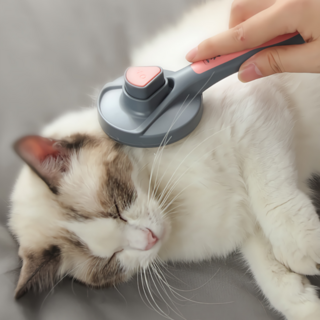 원터치 강아지 고양이 털 관리 제거 정리 반려동물 털 케어 펫 브러시 브러쉬, 청록색(민트), 1개