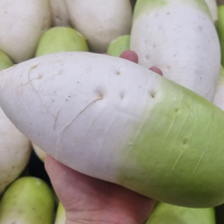 해남 절임배추 10kg 20kg 미생물농법, 1개, 셀바 비 세척무우 10kg (크기램덤)내외