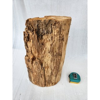 【十木工坊】奇木12.台灣檜木紅檜創作材, 1個