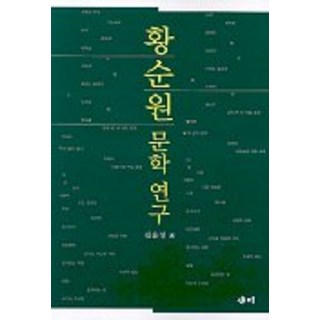 黃順元文學研究, 金允貞, Saemi