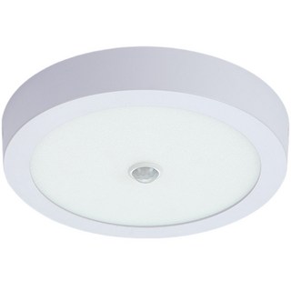 舞光 雲朵紅外線吸頂燈 16W 人體光控感應 超薄LED吸頂燈 走廊感應燈, 【非舞光】12W感應小珠吸頂燈,白光