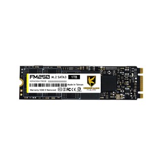 AITC KINGSMAN FM250 M.2 SATA SSD (1TB), 1TB