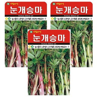 눈개승마 씨앗 약초 씨 종자, 3개